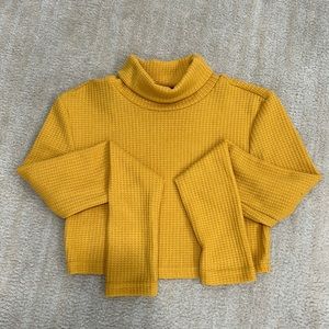 Turtle Neck